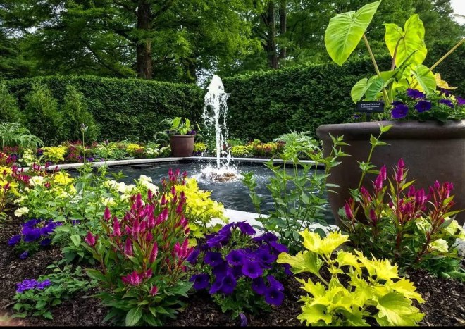 Garden of Joy by Gayle Polinski - FB_IMG_1528564709223