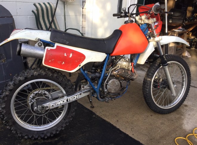 Honda 250 1986- Geoff Ryan IMG_2077 (1)