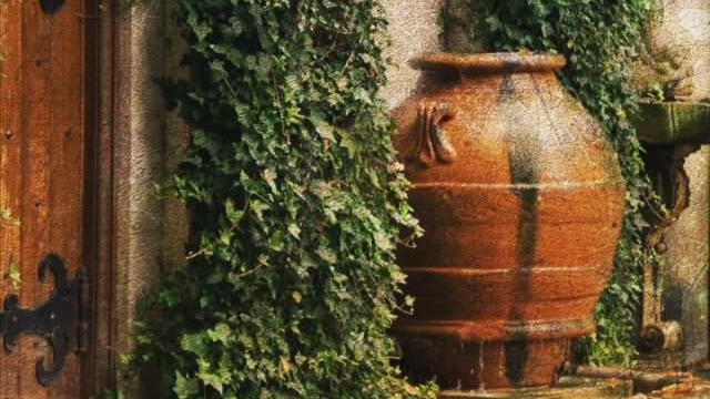 Gayle Polinsky - The Potters Hand - FB_IMG_1533750757954