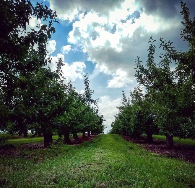 Making the path Straight - Gayle Polinski - FB_IMG_1528122402162